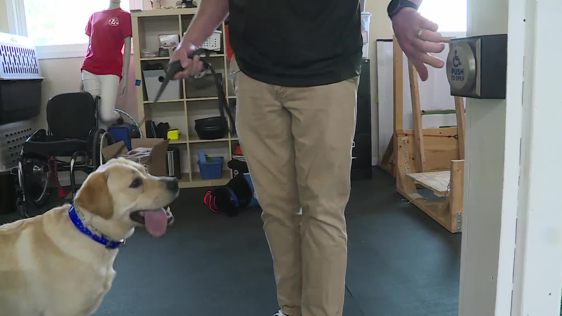 Mutts with a Mission in need of puppy raisers