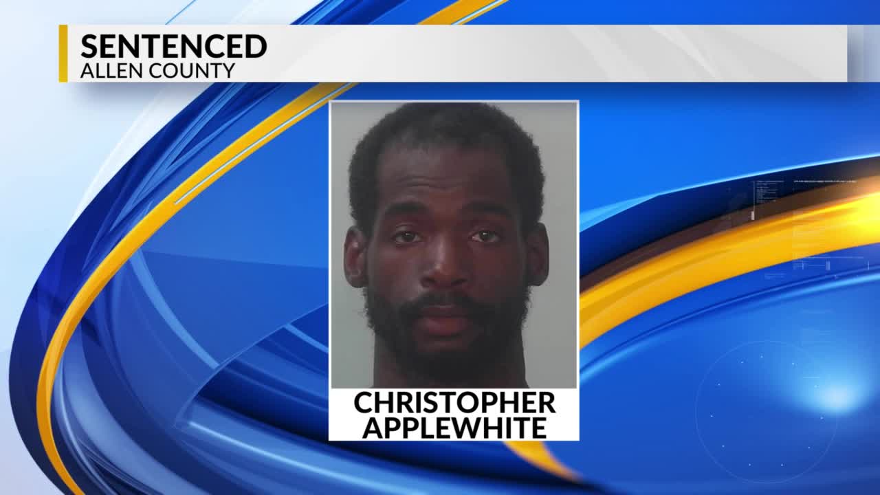 Man sentenced to 22 years in connection to 2024 assault – WANE 15