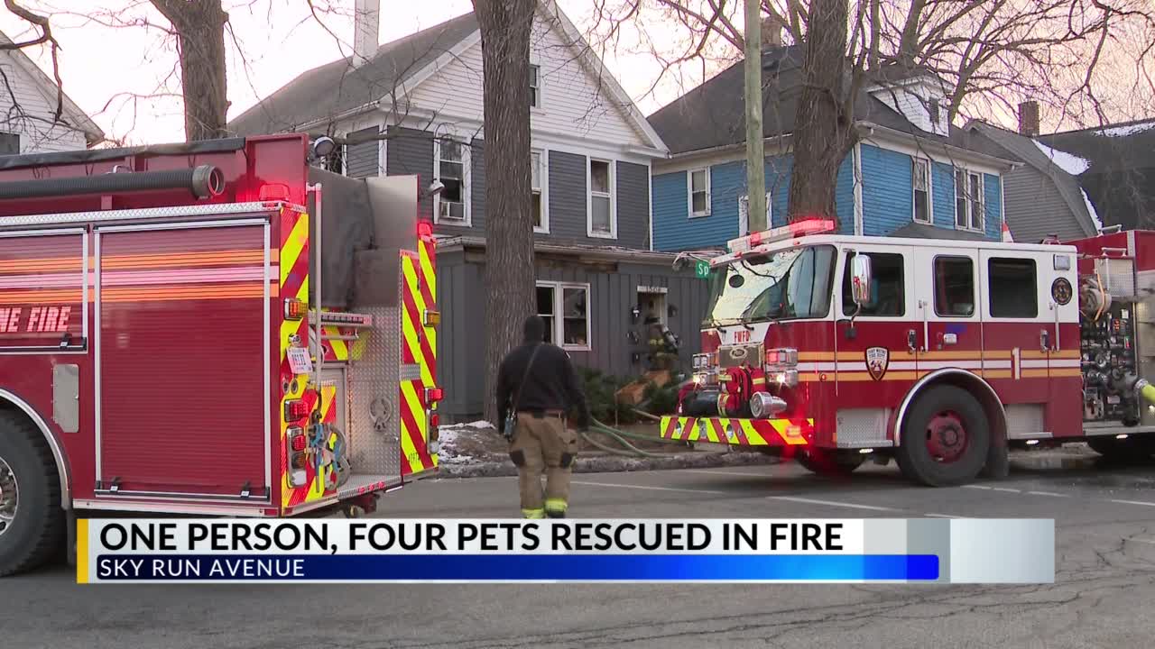 Resident, pets rescued from Spy Run house fire – WANE 15