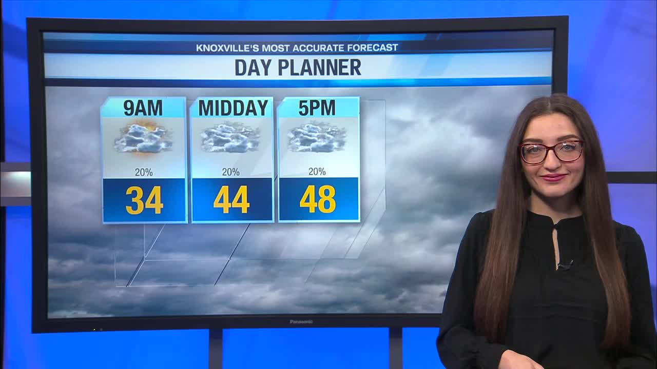 Mostly cloudy with an isolated shower – WATE 6 On Your Side