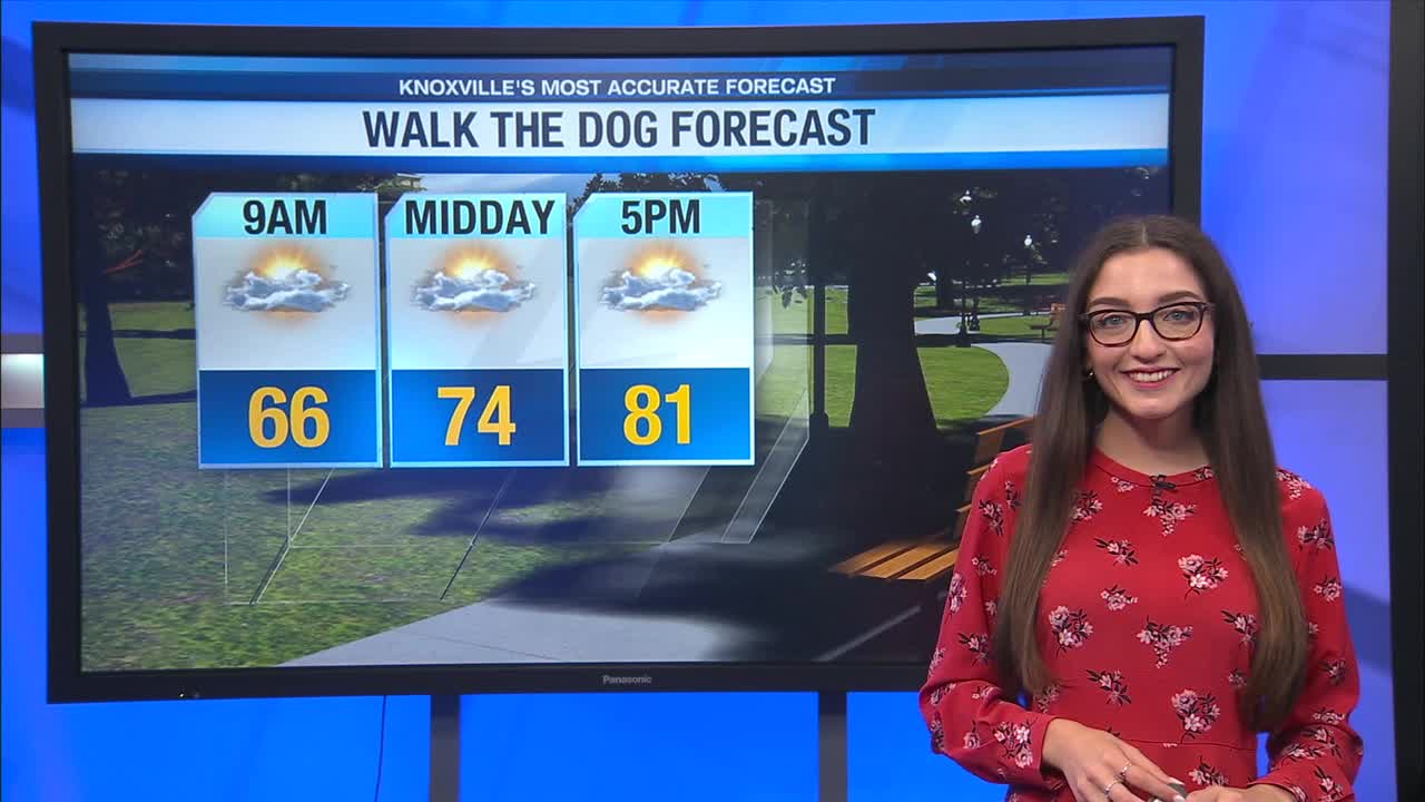 Partly sunny and pleasant today – WATE 6 On Your Side