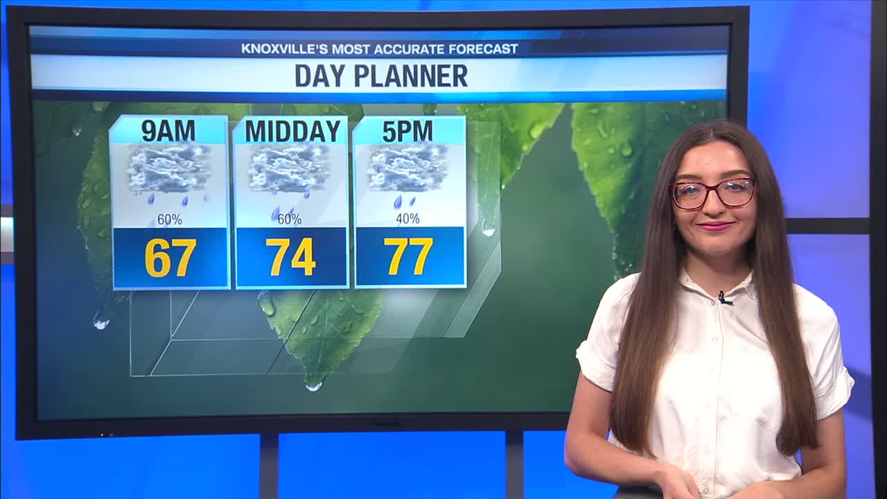 Cloudy with periods of rain and storms – WATE 6 On Your Side