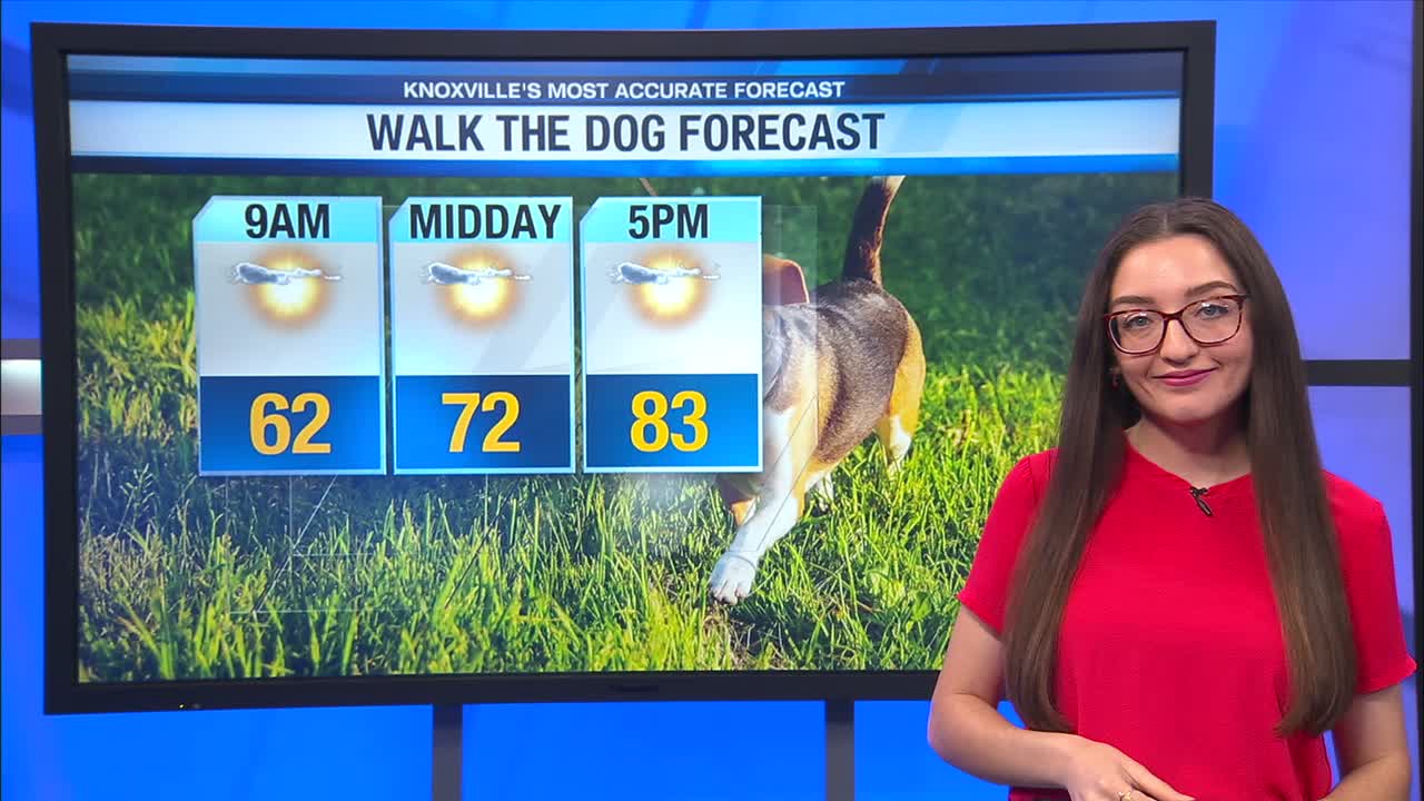 Mostly sunny and warm today with highs in the low 80s – WATE 6 On Your Side