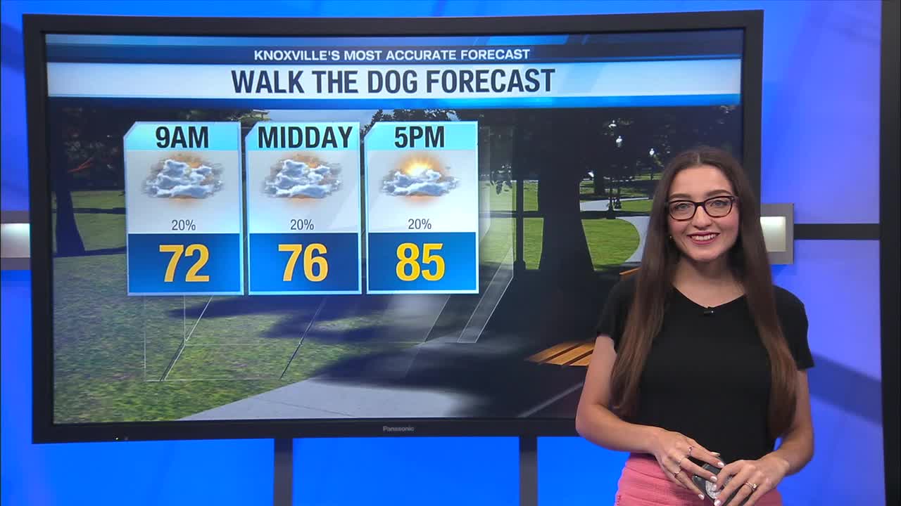 Isolated shower today with gradually decreasing clouds – WATE 6 On Your ...