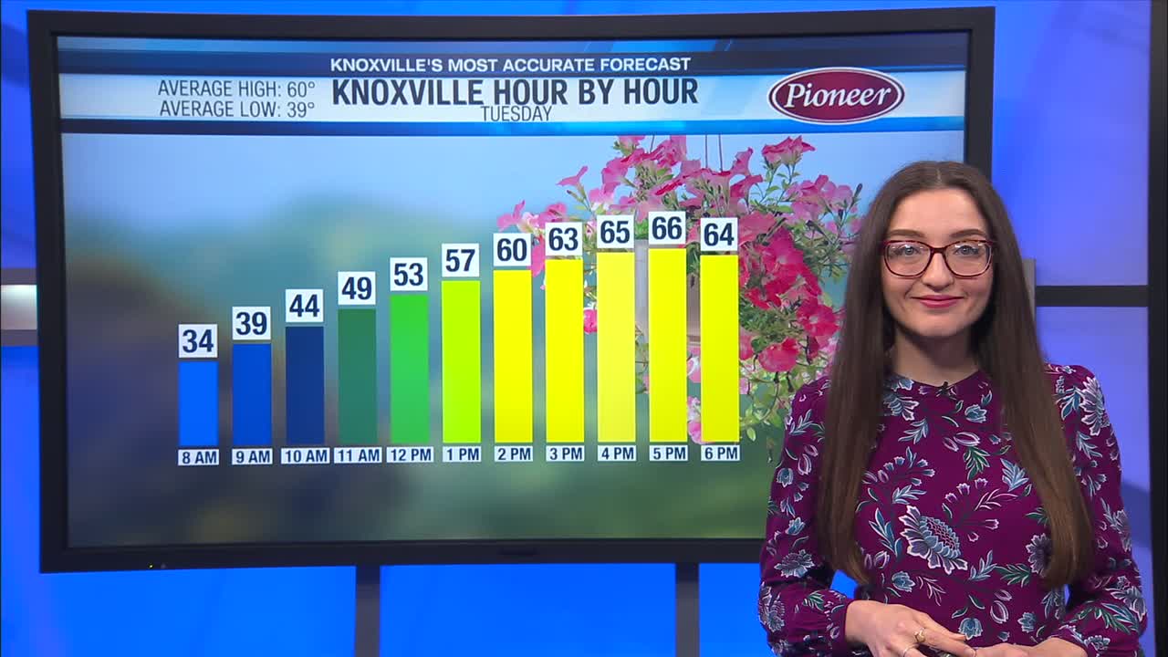 Mostly sunny and mild today – WATE 6 On Your Side