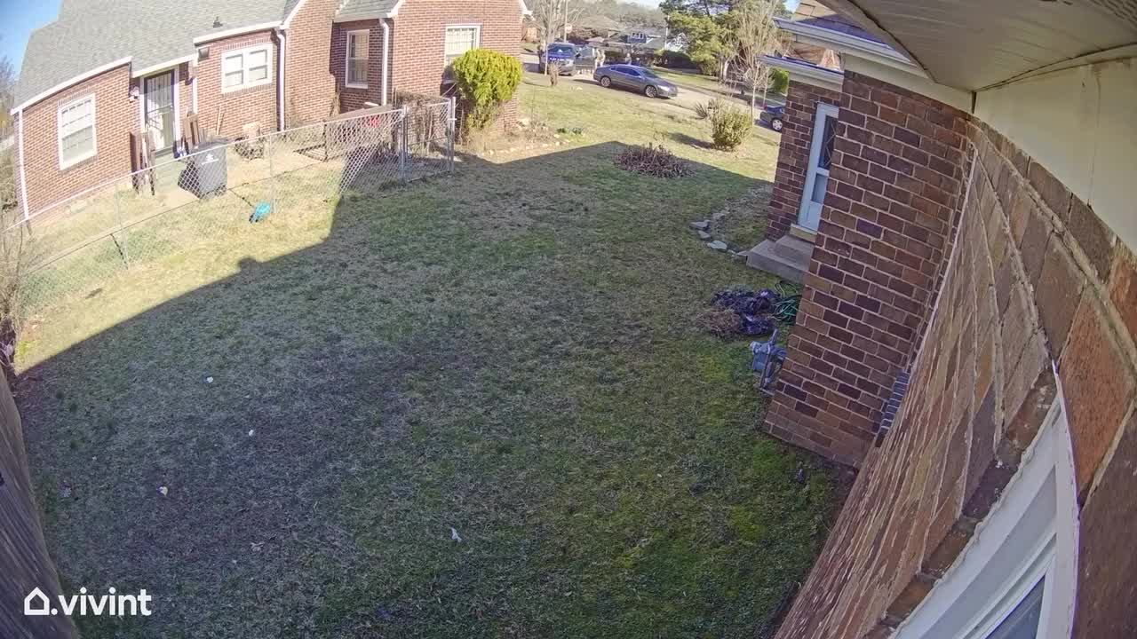 VIDEO: Suspect in shooting death of Blount County Deputy surrenders to ...