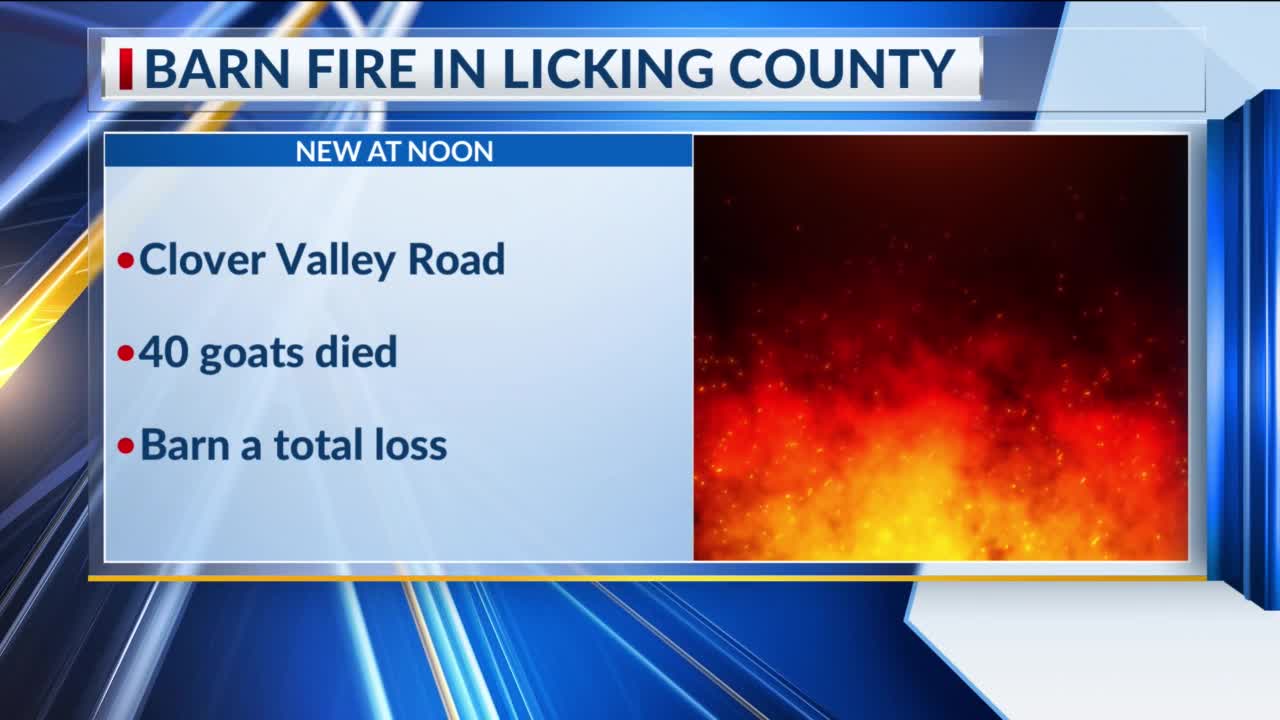 40 goats killed in Licking County barn fire – NBC4 WCMH-TV