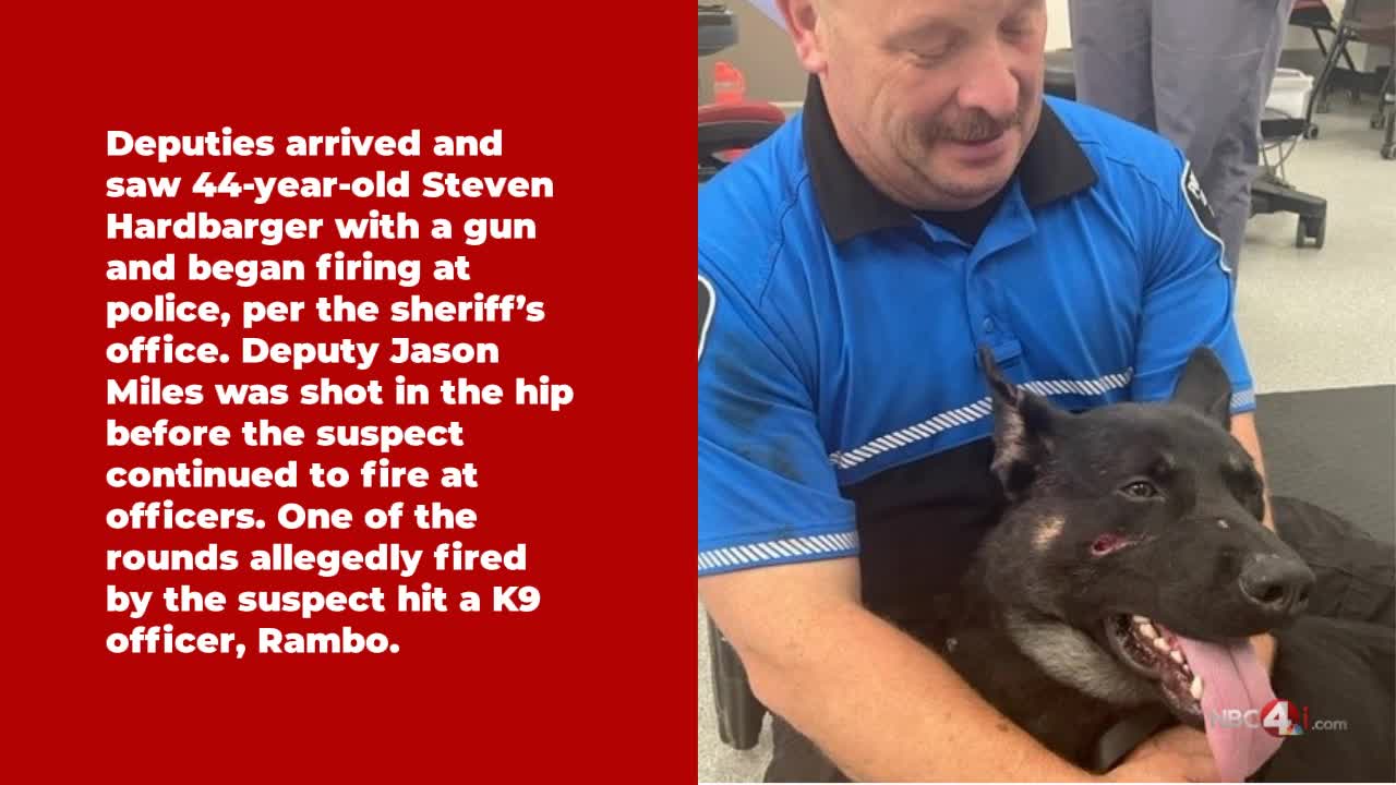 Man in custody after police standoff results in deputy, K9 shot – NBC4 ...