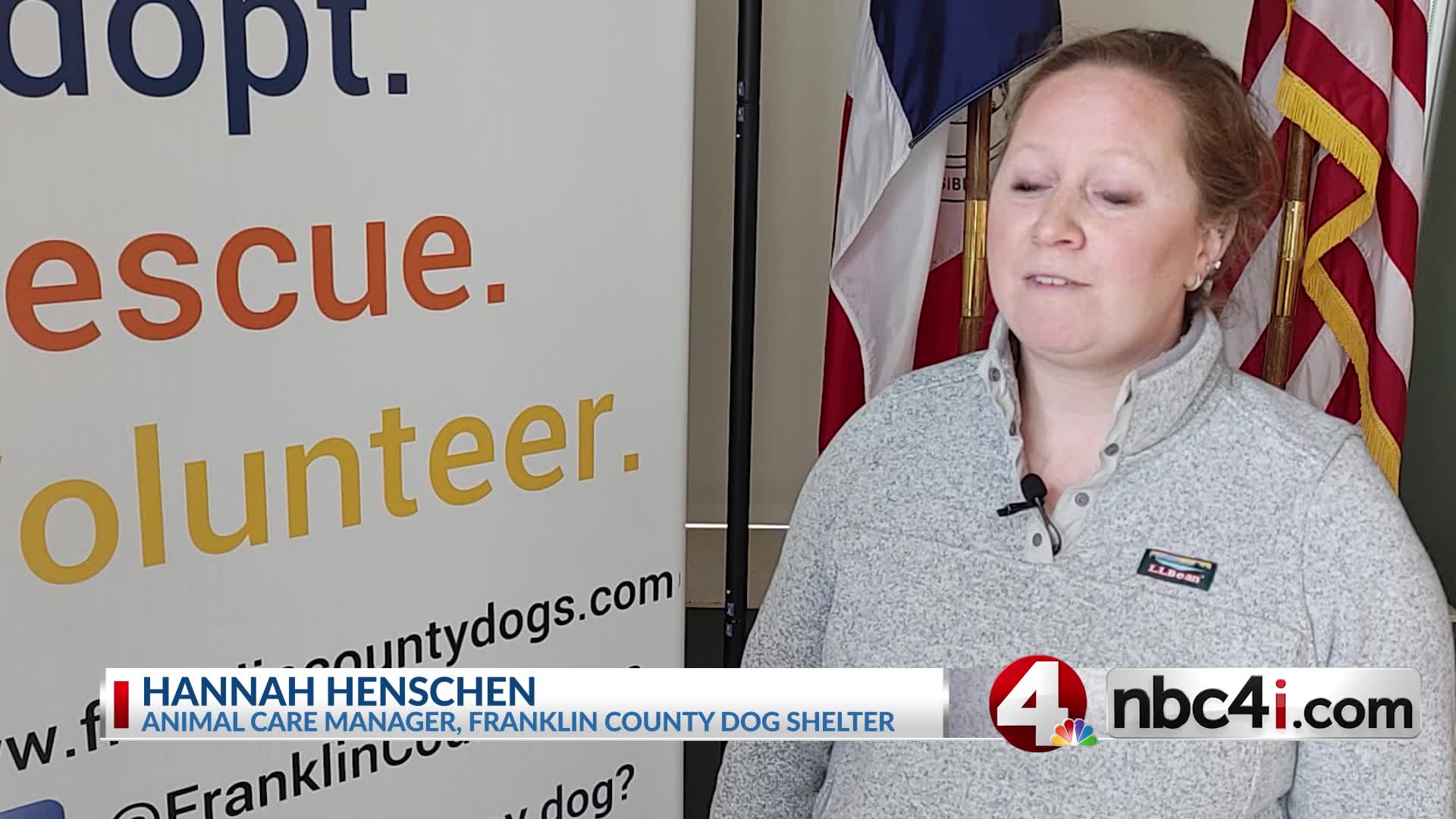 ‘Velcro dog’ up for adoption at Ohio dog shelter NBC4 WCMHTV