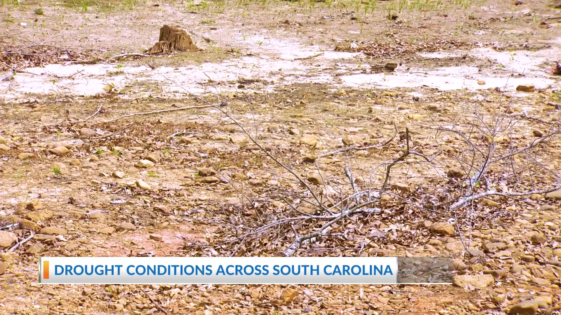 Drought conditions worsen across South Carolina – WCBD News 2