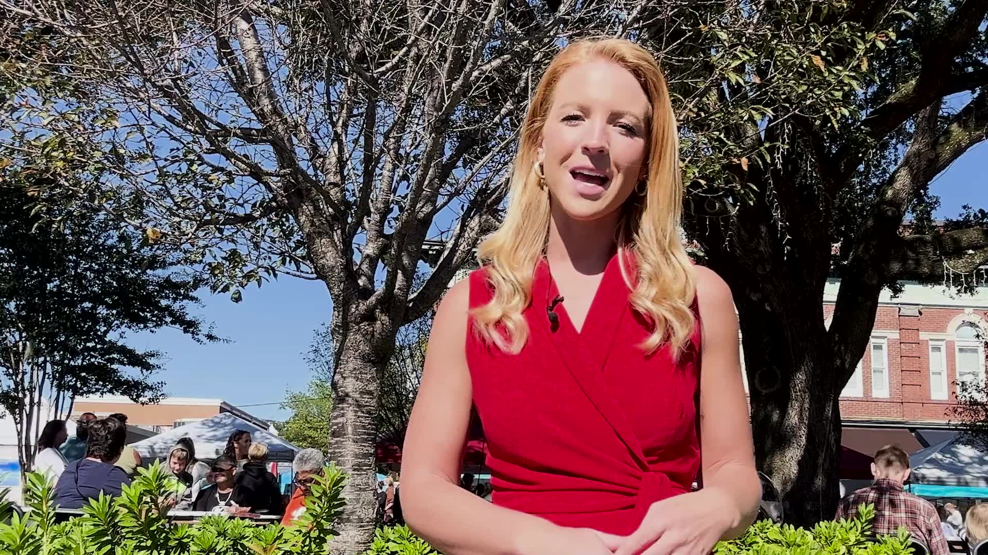 Summerville hosts annual Italian Feast Festival WCBD News 2