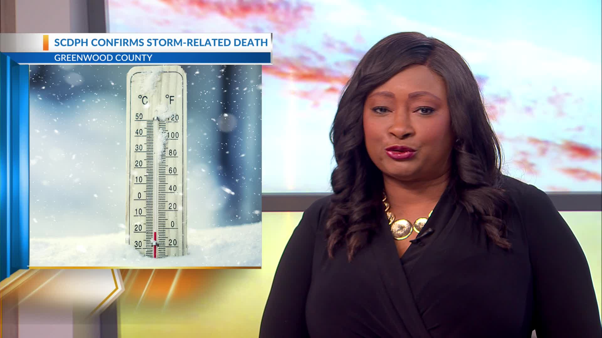 SC reports winter storm-related death – WCBD News 2