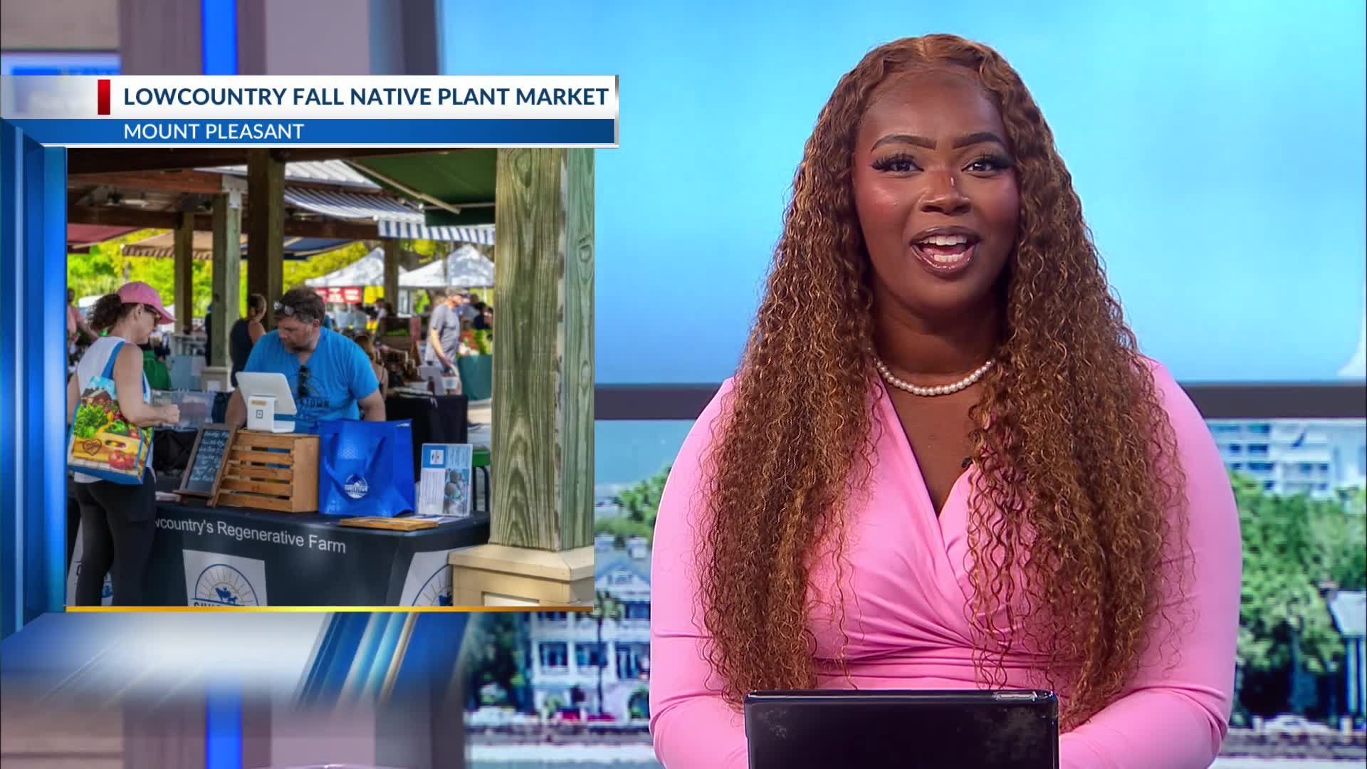 Lowcountry fall native plant market – WCBD News 2