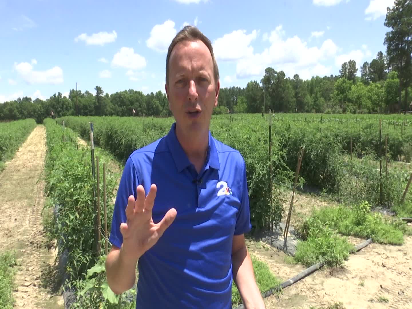 Ridgeville farm offers an alternative to buying produce at the grocery