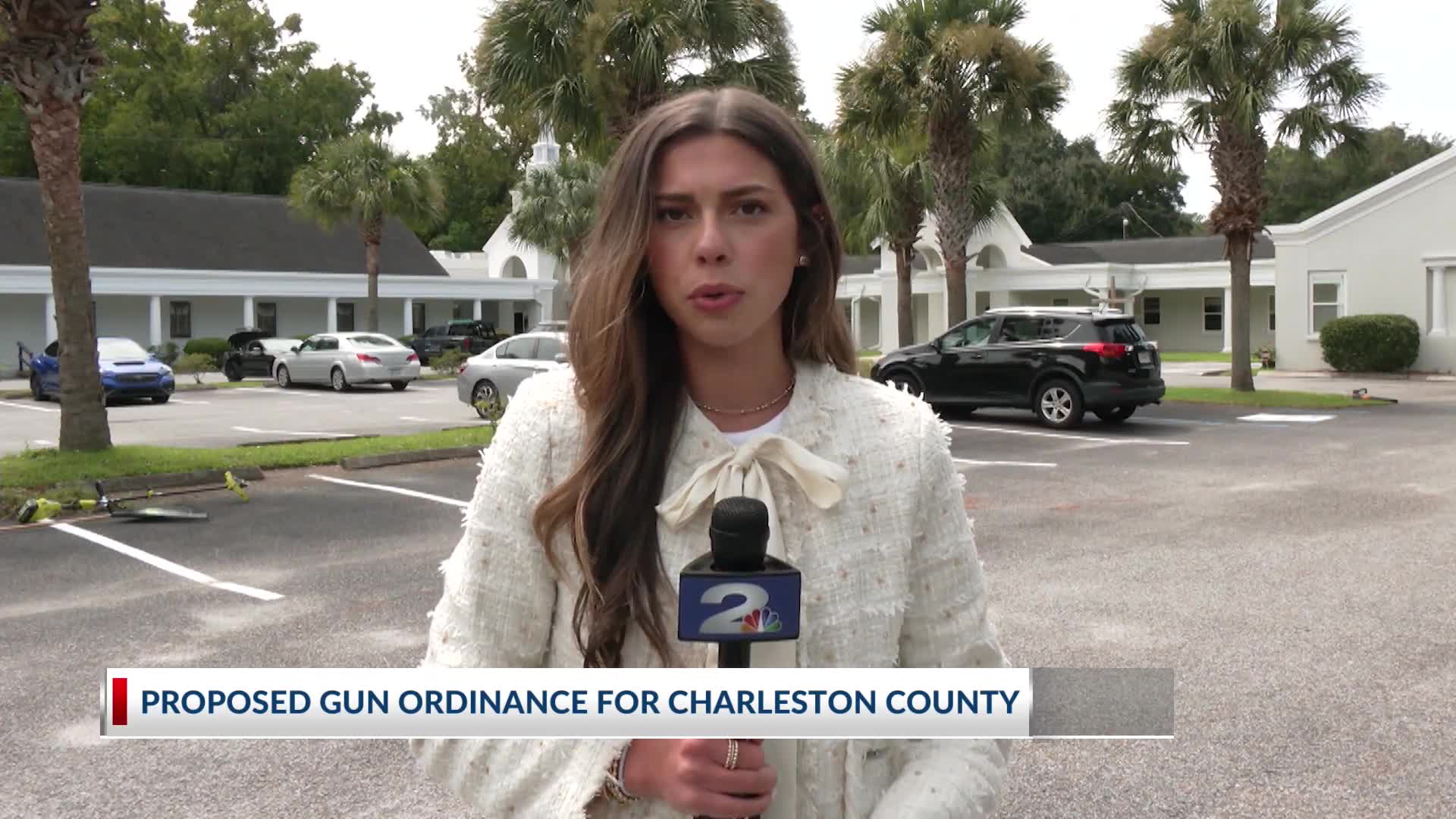 Proposed Gun Ordinance for Charleston County – WCBD News 2