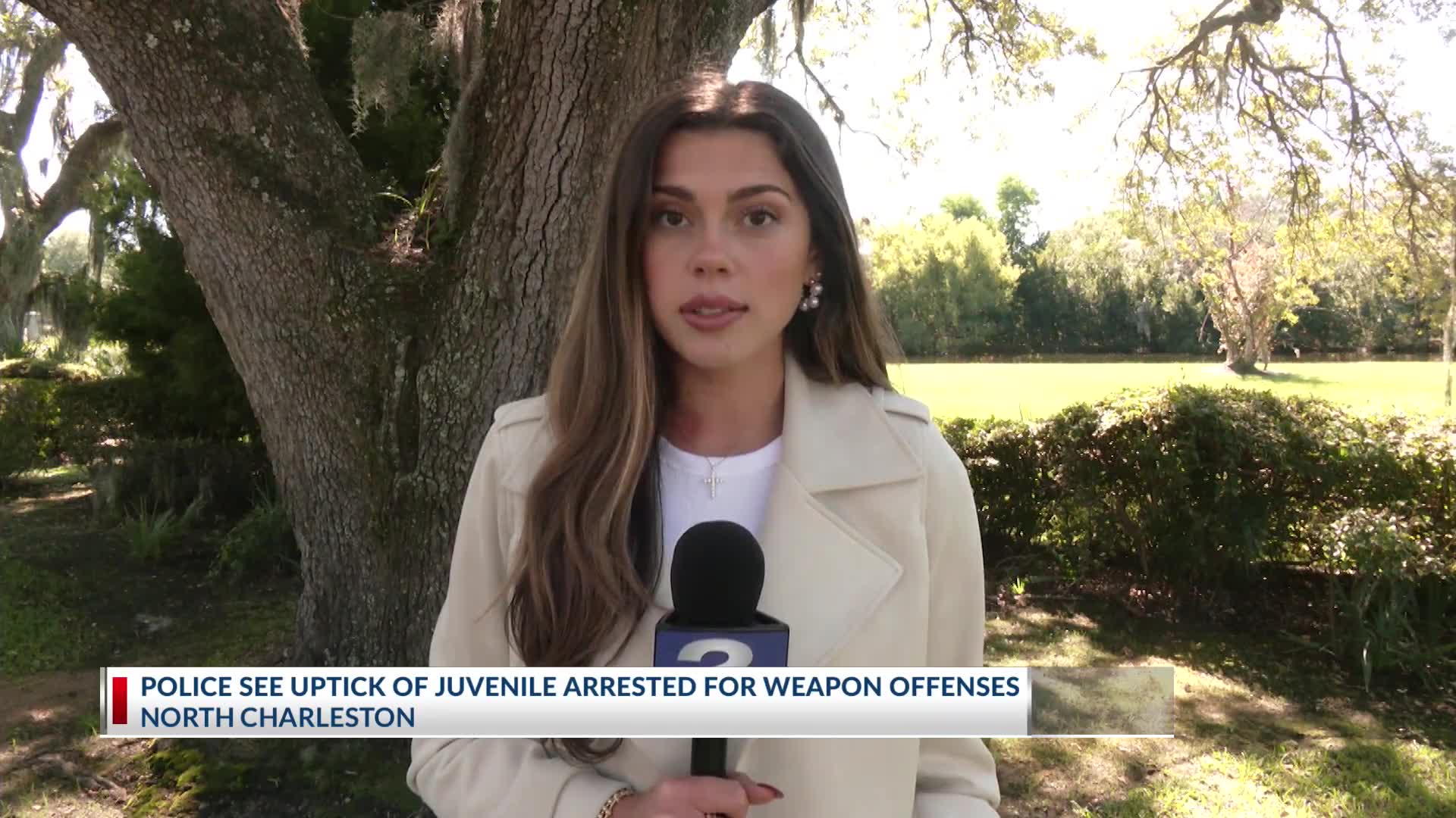 Police see uptick of juvenile arrested for weapon offenses in North ...
