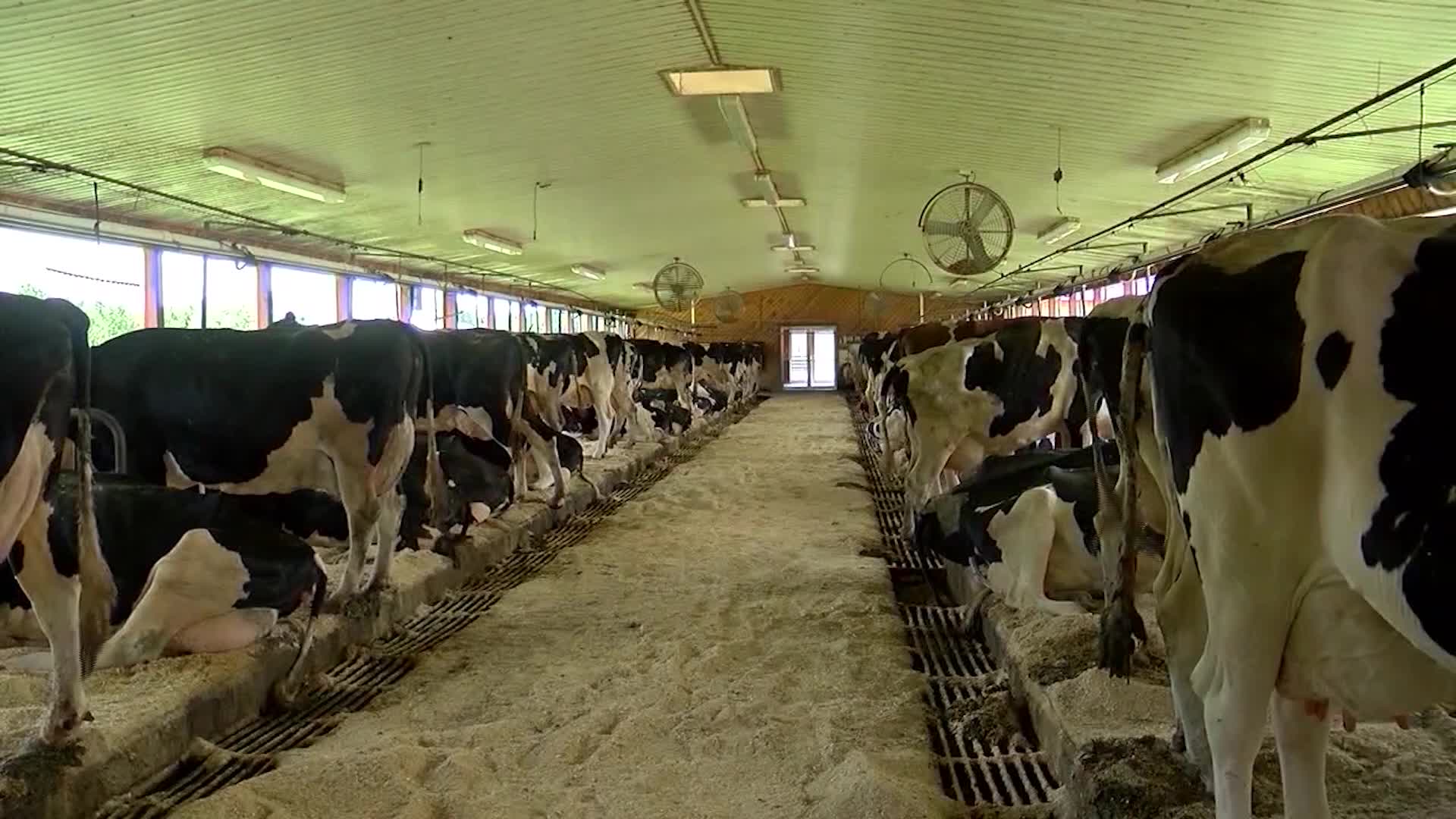 President Trump threatens tariffs on Canadian dairy and lumber – WWLP