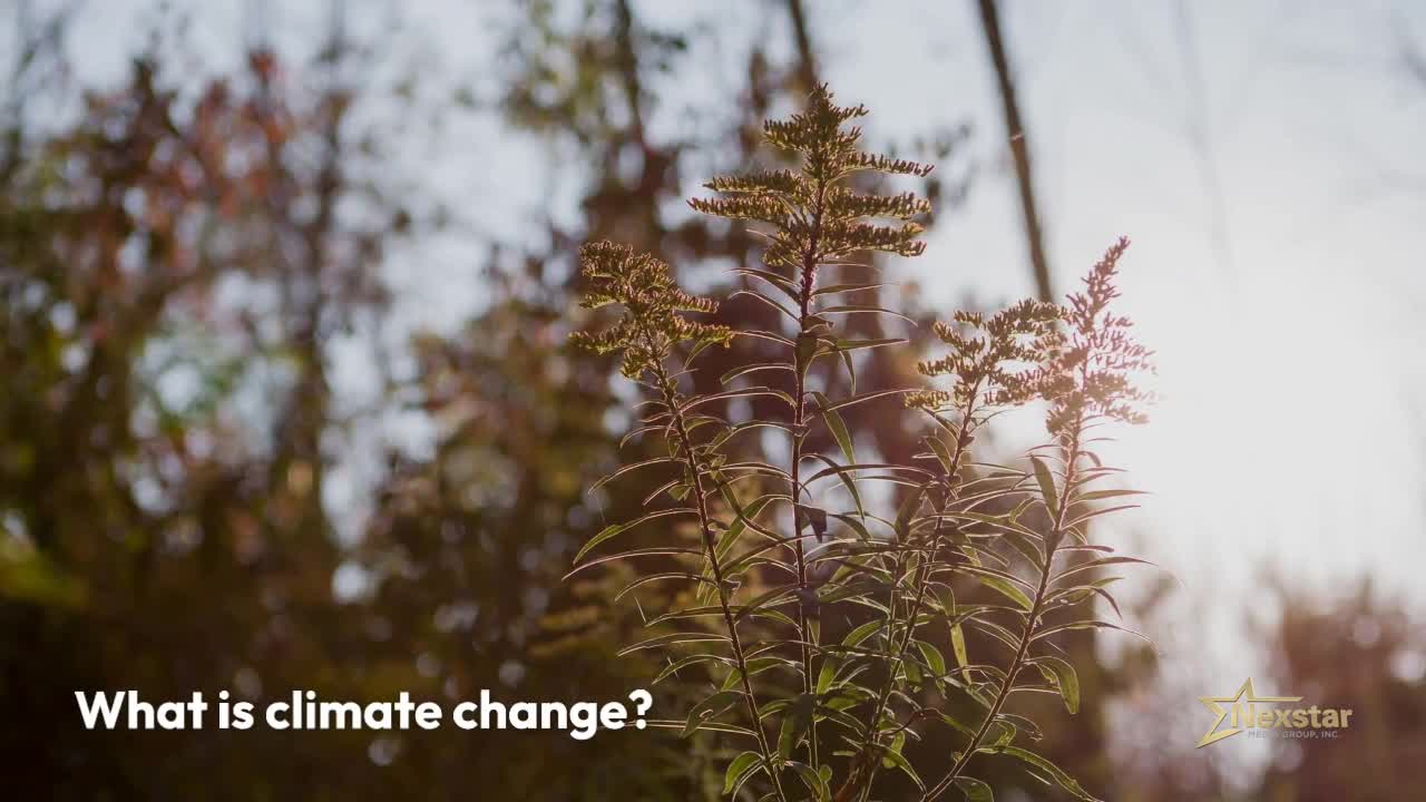 What is climate change? WOOD WANE 15