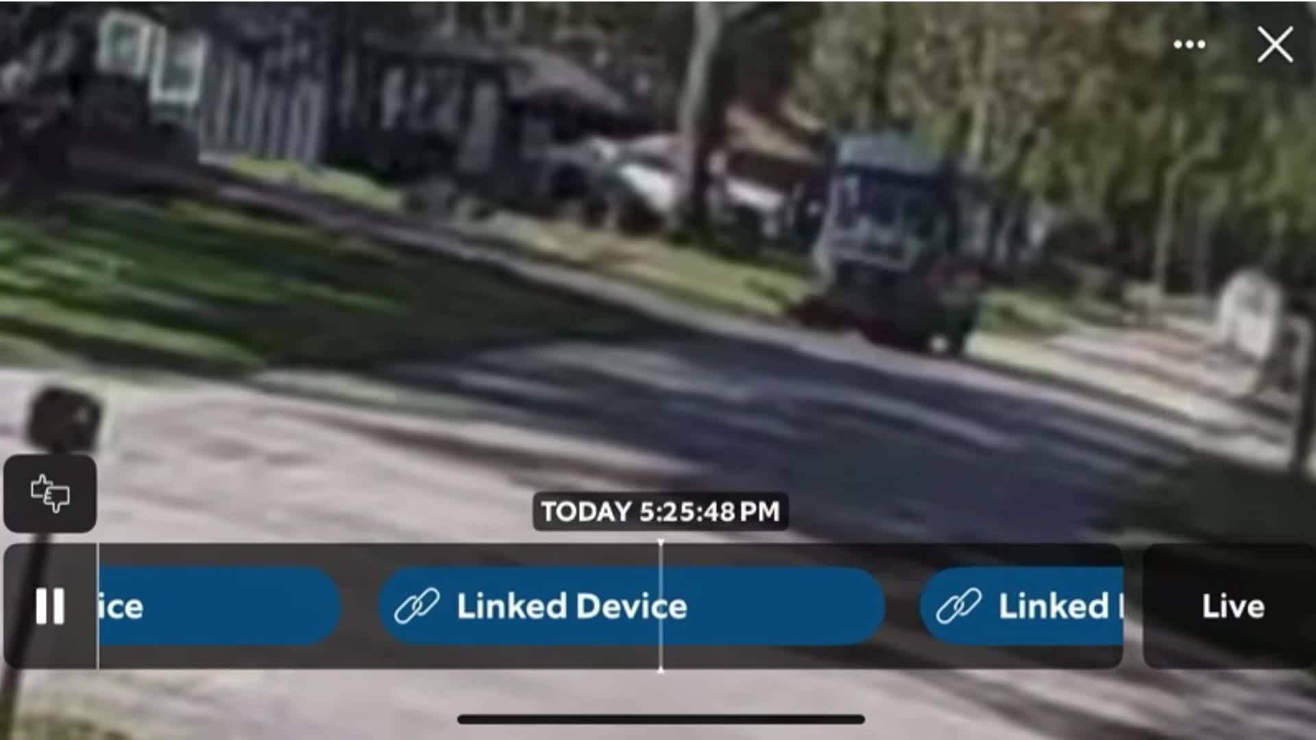Amazon driver caught on cam stealing cat during delivery, family says ...