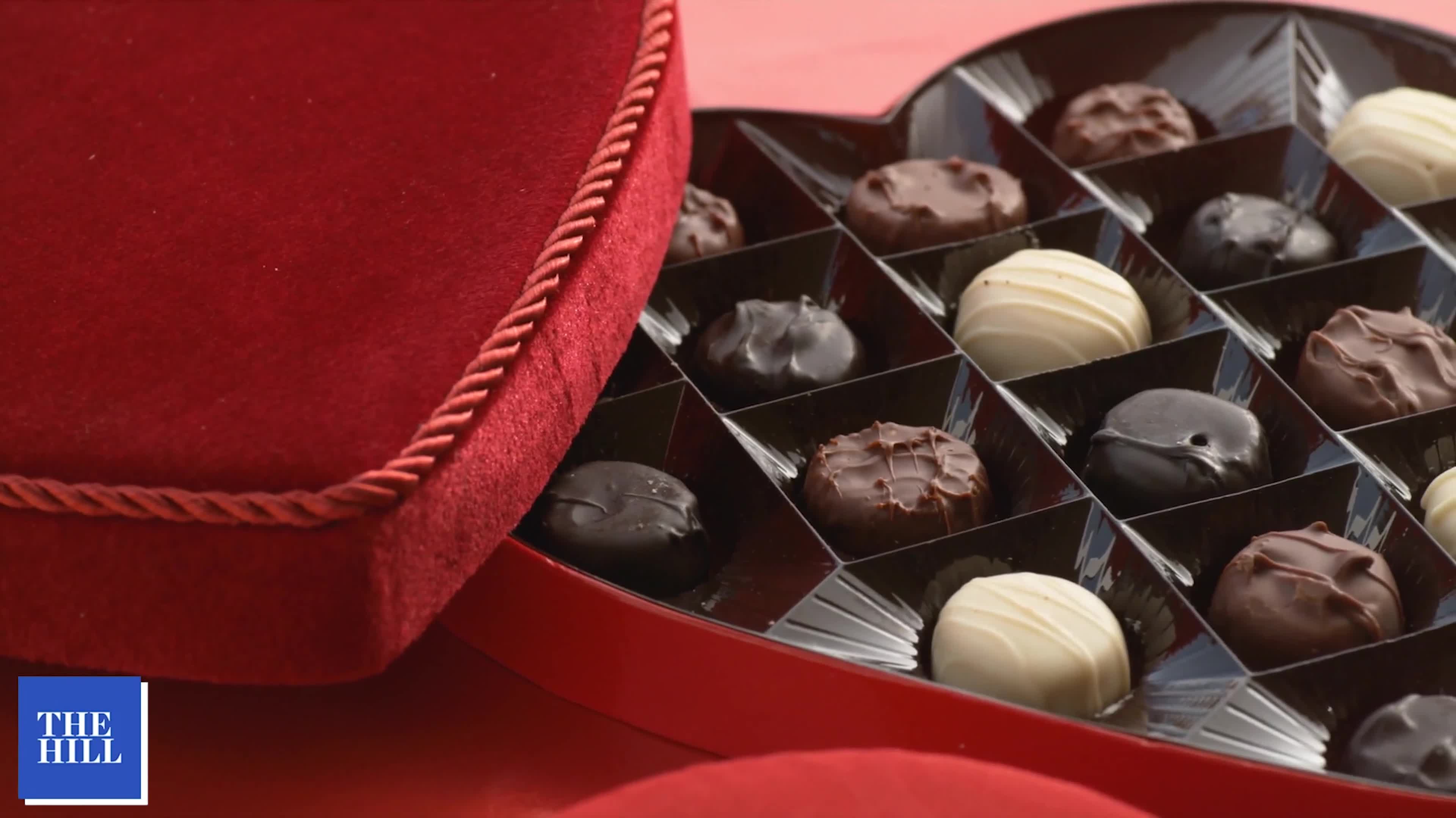 Chocolate sales prices SKYROCKET The Daily Debrief The Hill